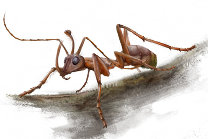 Древнего муравья-единорога нашли в янтаре
