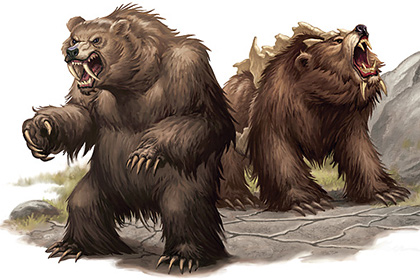 Веганство оказалось причиной вымирания пещерных медведей