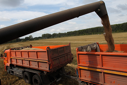 Bloomberg предсказал России доминирование на мировом рынке зерна