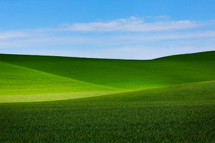 Китаец случайно переснял пейзаж с обоев Windows XP