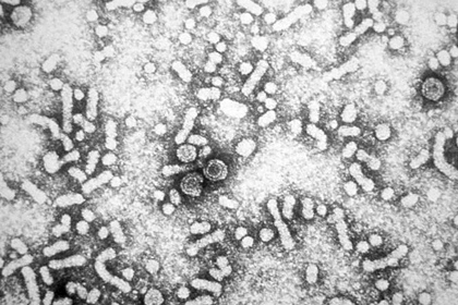 Гепатит признали главной угрозой человечеству