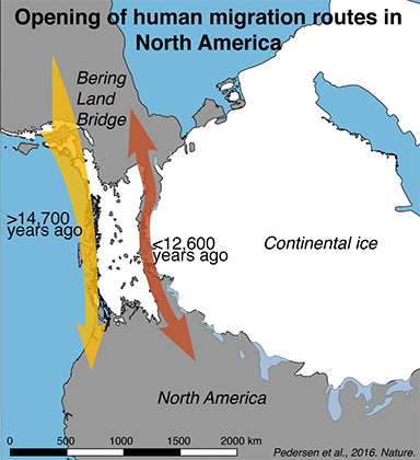 Описан путь расселения древних сибиряков по Северной Америке