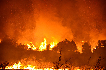 Лесные пожары предложили расстреливать из гаубиц