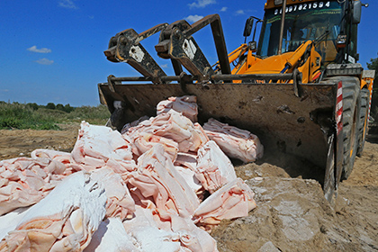 Россельхознадзор уничтожил восемь тысяч тонн санкционной еды