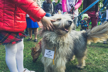 Выставка-пристройство «Всем по собаке» пройдет в Москве при звездной поддержке