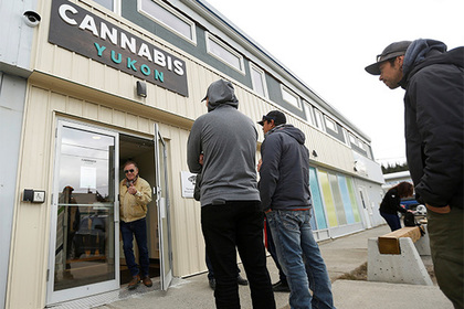 В Канаде сравнили потребление марихуаны до и после легализации