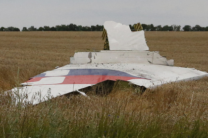 Стало известно о покупке международным следствием улики по делу Boeing MH17