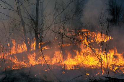 Дым от пожаров в Сибири достиг США